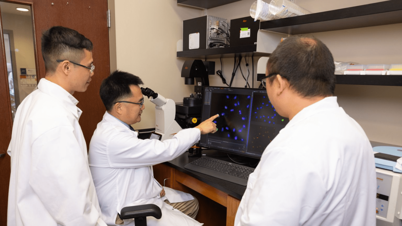 New DNA Repair Research May Influence Cancer Clinical Trials ‘For Years To Come’ - Klein College of Science