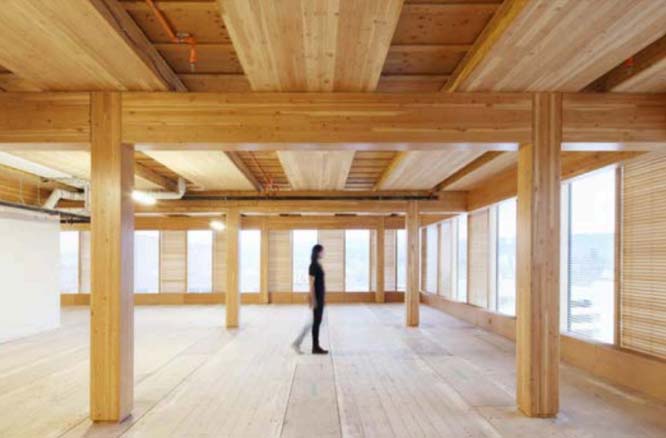 wood structure interior