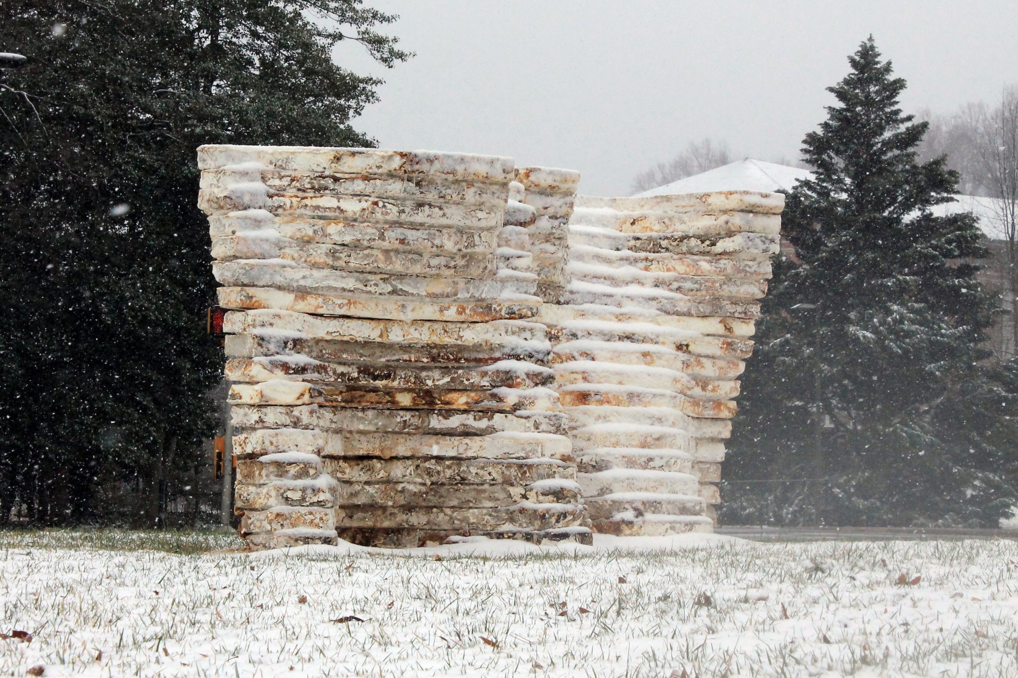 structure made of myco-materials