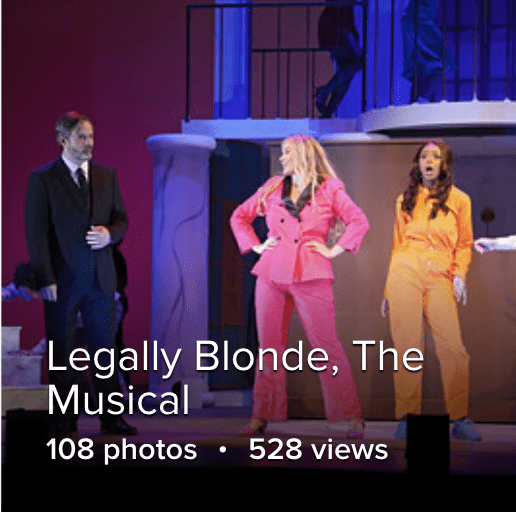 Legally Blonde Album Cover