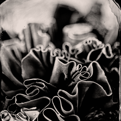 photograph by Aspen Hochhalter