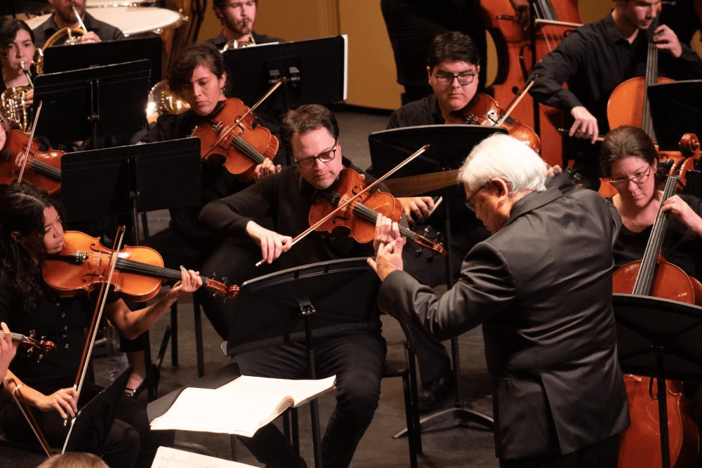 orchestra performance