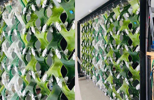 microalgae window system